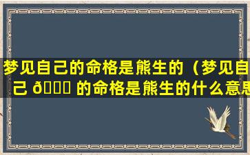 梦见自己的命格是熊生的（梦见自己 💐 的命格是熊生的什么意思）